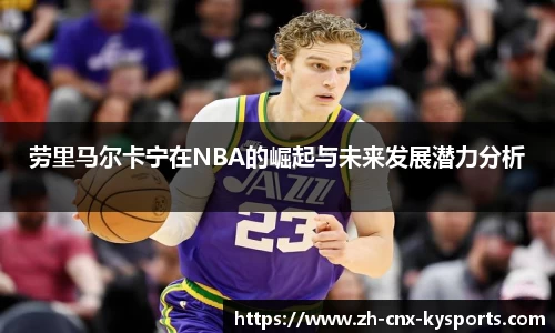 开云kaiyun网页版