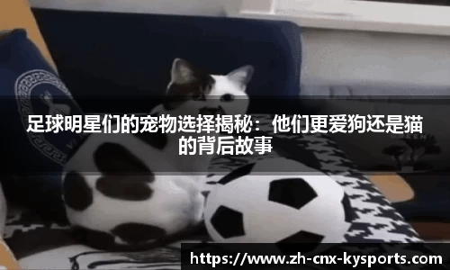 开云kaiyun官方网站