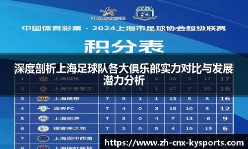 深度剖析上海足球队各大俱乐部实力对比与发展潜力分析